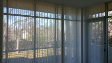 Blinds